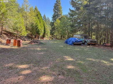 A gated entrance reveals this stunning 24-acre secluded parcel - photo 13