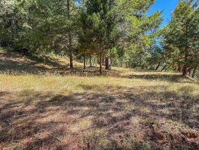 A gated entrance reveals this stunning 24-acre secluded parcel - photo 16