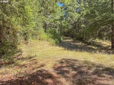 A gated entrance reveals this stunning 24-acre secluded parcel - photo 17