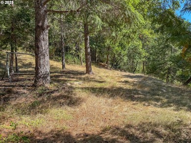A gated entrance reveals this stunning 24-acre secluded parcel - photo 18
