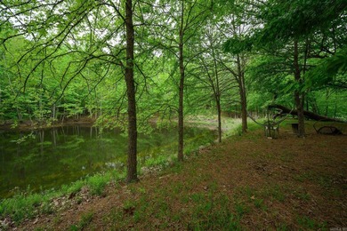 Discover your own private retreat in the heart of the Ouachita - photo 29