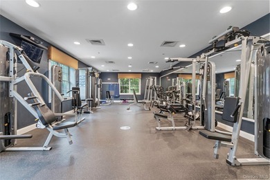 The Chatham at Manhasset - Premier Gated Luxury Living - photo 31