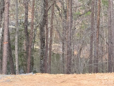 This Badin Lake water view lot is located in the prestigious - photo 4