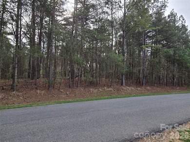 This Badin Lake water view lot is located in the prestigious - photo 6