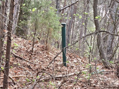 This Badin Lake water view lot is located in the prestigious - photo 9
