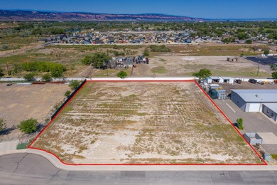 Colorado River Commercial For Sale in Grand Junction Colorado