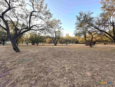 Lake Lot For Sale in Marble Falls, Texas