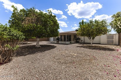 Welcome to this beautifully updated home in Sun City, AZ active - photo 24