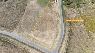 Cleared lake lot ready for your forever home - photo 11