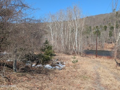 Lackawaxen River  Acreage For Sale in Lackawaxen Pennsylvania