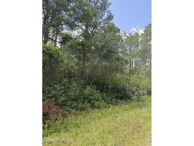 Boiling Spring Lake Lot For Sale in Boiling Spring Lakes North Carolina
