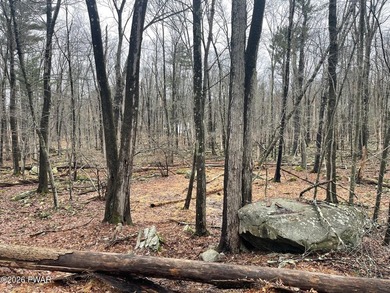 Pocono Woodlands Lake  Lot For Sale in Milford Pennsylvania