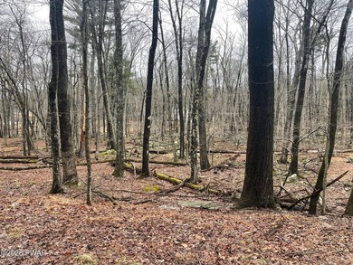 Now is your opportunity to own a large 1.8 acre lot in Pocono - photo 2