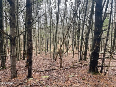 Now is your opportunity to own a large 1.8 acre lot in Pocono - photo 3