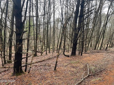 Now is your opportunity to own a large 1.8 acre lot in Pocono - photo 4