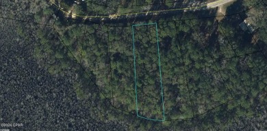 (private lake, pond, creek) Lot For Sale in Bonifay Florida