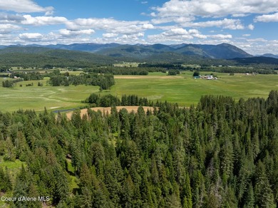 Exceptional 202.3-acre property offering a rare combination of - photo 11
