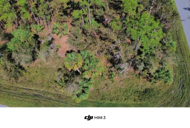 Port Charlotte Waterway Lakes Area Lot For Sale in Port Charlotte Florida