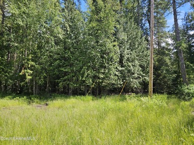 Exceptional 202.3-acre property offering a rare combination of - photo 14