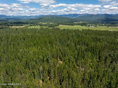 Exceptional 202.3-acre property offering a rare combination of - photo 15