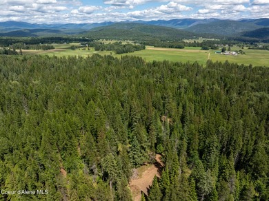 Exceptional 202.3-acre property offering a rare combination of - photo 16