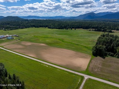 Exceptional 202.3-acre property offering a rare combination of - photo 19