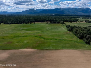 Exceptional 202.3-acre property offering a rare combination of - photo 20