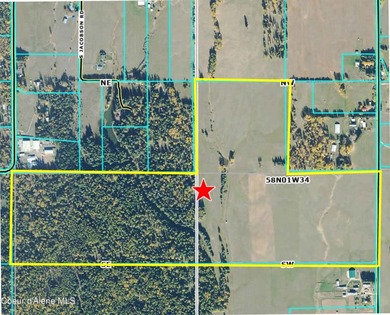 Exceptional 202.3-acre property offering a rare combination of - photo 22