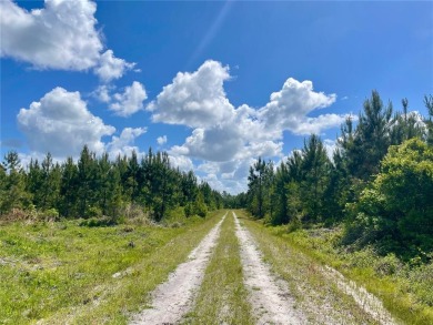 New River - Broward County Acreage For Sale in Brooker Florida