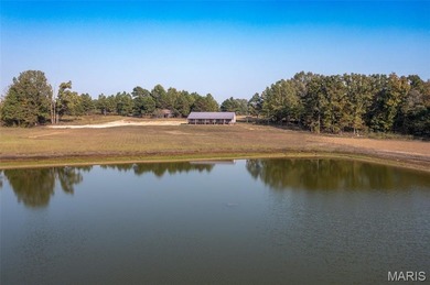 (private lake, pond, creek) Home For Sale in Glen Allen Missouri