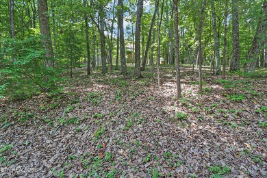 Beautiful One-Level Living on .68 Acre with Seasonal Lake Views - photo 36