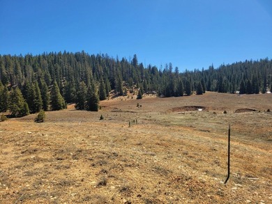 (private lake, pond, creek) Lot For Sale in Duck Creek Utah