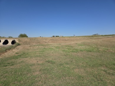 Cleared lake lot ready for your forever home - photo 20