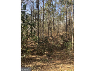 Lake Sinclair Lot For Sale in Milledgeville Georgia