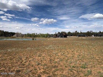 This is your opportunity to build your mountain getaway in the - photo 8