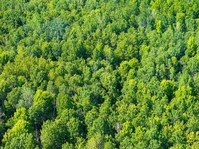 17 acres and panoramic views of Lake Superior just down the - photo 11