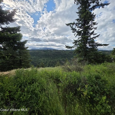 One of the nicest 20-acre parcels on Harrison Flats offers a - photo 22