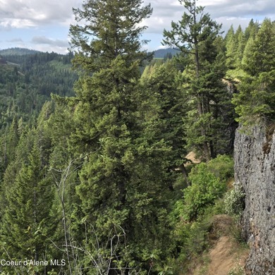 One of the nicest 20-acre parcels on Harrison Flats offers a - photo 44