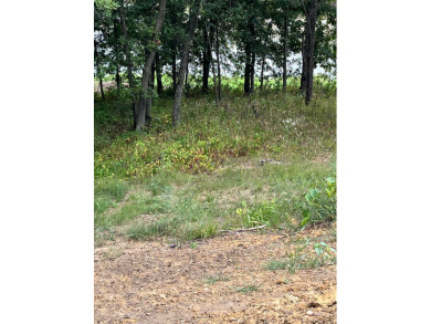 Waterfront lot for sale Lake Thunderhead - photo 6
