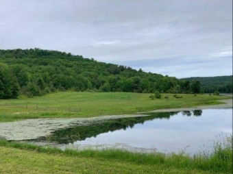 On Strawberry Lake - Lake Lot For Sale in Marathon, New York
