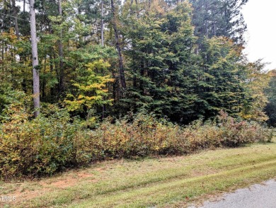 Lot 32 is full of potential for your Kerr Lake Dream - Lake Lot Sale Pending in Clarksville, Virginia