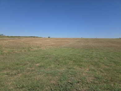 Cleared lake lot ready for your forever home - photo 2