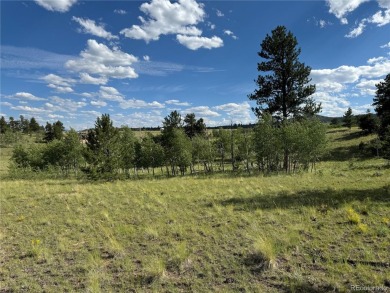 (private lake, pond, creek) Acreage For Sale in Hartsel Colorado