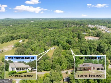 (private lake, pond, coastal) Home For Sale in Gainesville Georgia