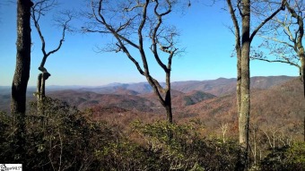 North Saluda Reservoir Lot For Sale in Travelers Rest South Carolina