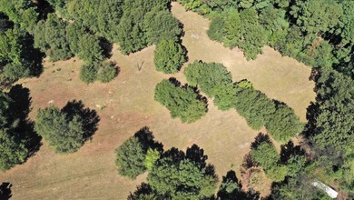 A Peaceful Retreat Near Lone Star Lake - 6.33 Acres of Pure - photo 2