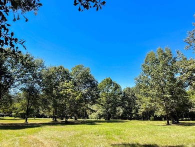 A Peaceful Retreat Near Lone Star Lake - 6.33 Acres of Pure - photo 3