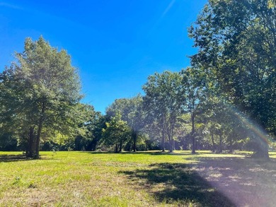 A Peaceful Retreat Near Lone Star Lake - 6.33 Acres of Pure - photo 4