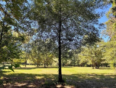 A Peaceful Retreat Near Lone Star Lake - 6.33 Acres of Pure - photo 5