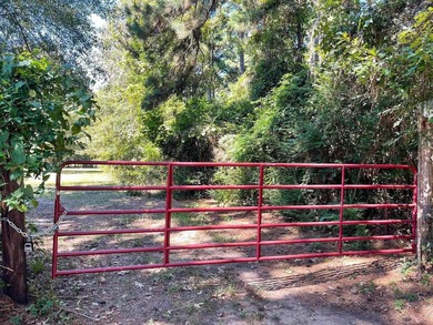 A Peaceful Retreat Near Lone Star Lake - 6.33 Acres of Pure - photo 6